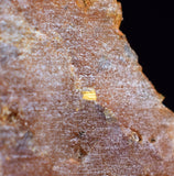 2.1cms SLAB NATIVE GOLD OF THE INCAS SLAB PERU THUMBNAIL CRYSTAL LB201