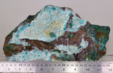 26.5cms DRUZY CHRYSOCOLLA QUARTZ CRYSTAL LILY MINE PERU 2000 YEAR DB310