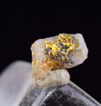 0.5cms NATIVE GOLD OF THE INCAS PERU THUMBNAIL CRYSTAL LB202