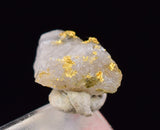 0.5cms NATIVE GOLD OF THE INCAS PERU THUMBNAIL CRYSTAL LB202