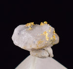 0.5cms NATIVE GOLD OF THE INCAS PERU THUMBNAIL CRYSTAL LB202