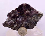 8.4cm GEM AXINITE CRYSTAL TOURMALINE PERU SUPER SHINY MINERAL SPECIMEN AB312