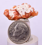 2.6 cms RED ORANGE ZEOLITE STILBITE LAUMONTITE CALCITE CRYSTALS PERU FB90