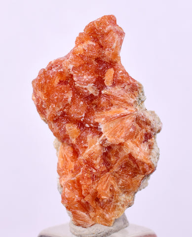 2.6 cms RED ORANGE ZEOLITE STILBITE LAUMONTITE CALCITE CRYSTALS PERU FB92