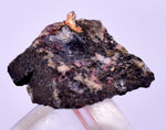 1.7cms NATIVE SILVER WIRE PERU UCHUCCHACUA MINE MINERAL SPECIMEN HB297