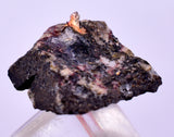 1.7cms NATIVE SILVER WIRE PERU UCHUCCHACUA MINE MINERAL SPECIMEN HB297
