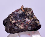 1.7cms NATIVE SILVER WIRE PERU UCHUCCHACUA MINE MINERAL SPECIMEN HB297