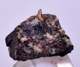 1.7cms NATIVE SILVER WIRE PERU UCHUCCHACUA MINE MINERAL SPECIMEN HB297