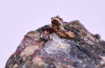 1.7cms NATIVE SILVER WIRE PERU UCHUCCHACUA MINE MINERAL SPECIMEN HB297