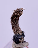 0.8cms NATIVE SILVER WIRE PERU UCHUCCHACUA MINE MINERAL SPECIMEN HB298