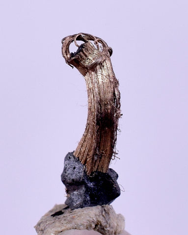 0.8cms NATIVE SILVER WIRE PERU UCHUCCHACUA MINE MINERAL SPECIMEN HB298
