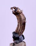 0.8cms NATIVE SILVER WIRE PERU UCHUCCHACUA MINE MINERAL SPECIMEN HB298
