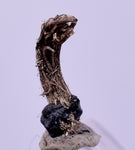 0.8cms NATIVE SILVER WIRE PERU UCHUCCHACUA MINE MINERAL SPECIMEN HB298
