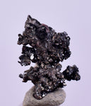 1cms NATIVE SILVER WIRE PERU UCHUCCHACUA MINE MINERAL SPECIMEN HB299