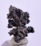 1cms NATIVE SILVER WIRE PERU UCHUCCHACUA MINE MINERAL SPECIMEN HB299