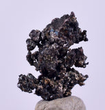 1cms NATIVE SILVER WIRE PERU UCHUCCHACUA MINE MINERAL SPECIMEN HB299