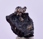 1cms NATIVE SILVER WIRE PERU UCHUCCHACUA MINE MINERAL SPECIMEN HB300