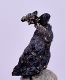 1cms NATIVE SILVER WIRE PERU UCHUCCHACUA MINE MINERAL SPECIMEN HB300