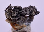 0.9cms NATIVE SILVER WIRE PERU UCHUCCHACUA MINE MINERAL SPECIMEN HB302