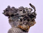0.9cms NATIVE SILVER WIRE PERU UCHUCCHACUA MINE MINERAL SPECIMEN HB302