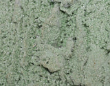 19cms FUCHSITE MUSCOVITE QUARTZ RARE CRYSTAL CHROMIUM MINERAL SPECIMEN PERU KB82