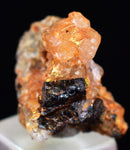 1.7cms UNIQUE NATIVE GOLD INCAS PERU QUARTZ CRYSTALS LB203