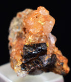 1.7cms UNIQUE NATIVE GOLD INCAS PERU QUARTZ CRYSTALS LB203