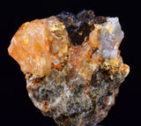 1.7cms UNIQUE NATIVE GOLD INCAS PERU QUARTZ CRYSTALS LB203