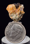 1.7cms UNIQUE NATIVE GOLD INCAS PERU QUARTZ CRYSTALS LB203