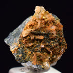 1.2cms UNIQUE NATIVE GOLD INCAS PERU QUARTZ CRYSTALS LB205