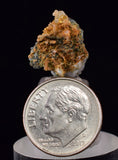 1.2cms UNIQUE NATIVE GOLD INCAS PERU QUARTZ CRYSTALS LB205