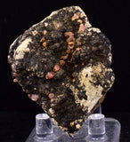 4.9cm RHODOCHROSITE CRYSTALS PERU OLD STOCK UCHUCCHACUA MINERAL SPECIMEN RB735