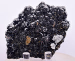 8 cms HUTCHINSONITE PYRITE QUARTZ ORPIMENT CRYSTALS PERU MB171
