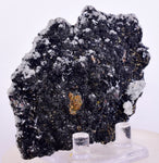 8 cms HUTCHINSONITE PYRITE QUARTZ ORPIMENT CRYSTALS PERU MB171