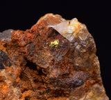 2.6cms UNIQUE NATIVE GOLD INCAS PERU QUARTZ CRYSTALS LB206