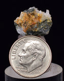1.4cms UNIQUE NATIVE GOLD INCAS PERU QUARTZ CRYSTALS LB207