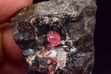 4.3cm RHODOCHROSITE CRYSTALS PERU OLD STOCK UCHUCCHACUA MINERAL SPECIMEN RB736