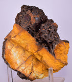 12.7cms GOETHITE BOTRYOIDAL IRIDESCENT CRYSTALS PERU IRON NEW FIND MINERAL ZB54