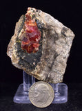 4.7cm RHODOCHROSITE CRYSTALS PERU OLD STOCK UCHUCCHACUA MINERAL SPECIMEN RB737