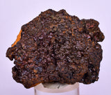 6.1cms GOETHITE BOTRYOIDAL IRIDESCENT CRYSTALS PERU IRON NEW FIND MINERAL ZB56