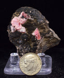4.7cm RHODOCHROSITE CRYSTALS PERU OLD STOCK UCHUCCHACUA MINERAL SPECIMEN RB738