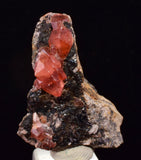 2.9cm RHODOCHROSITE CRYSTALS PERU OLD STOCK UCHUCCHACUA MINERAL SPECIMEN RB739
