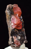 2.9cm RHODOCHROSITE CRYSTALS PERU OLD STOCK UCHUCCHACUA MINERAL SPECIMEN RB739