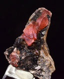 2.9cm RHODOCHROSITE CRYSTALS PERU OLD STOCK UCHUCCHACUA MINERAL SPECIMEN RB739