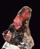 2.9cm RHODOCHROSITE CRYSTALS PERU OLD STOCK UCHUCCHACUA MINERAL SPECIMEN RB739