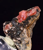 2.9cm RHODOCHROSITE CRYSTALS PERU OLD STOCK UCHUCCHACUA MINERAL SPECIMEN RB739