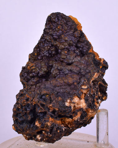 8.5cms GOETHITE BOTRYOIDAL IRIDESCENT CRYSTALS PERU IRON NEW FIND MINERAL ZB57
