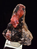 2.9cm RHODOCHROSITE CRYSTALS PERU OLD STOCK UCHUCCHACUA MINERAL SPECIMEN RB739