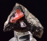 3.5cm RHODOCHROSITE CRYSTALS PERU OLD STOCK UCHUCCHACUA MINERAL SPECIMEN RB740