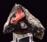 3.5cm RHODOCHROSITE CRYSTALS PERU OLD STOCK UCHUCCHACUA MINERAL SPECIMEN RB740